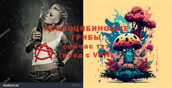 мет Аркадак