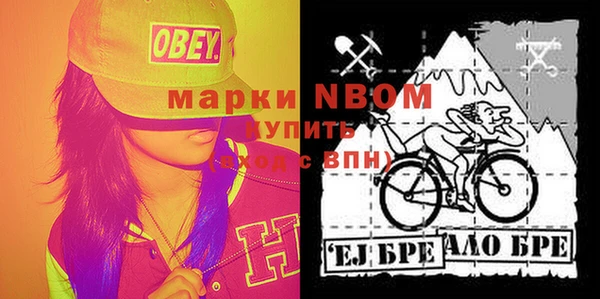 индика Семёнов