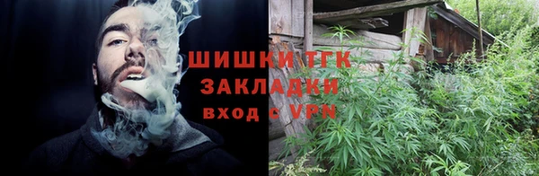 дживик Арсеньев
