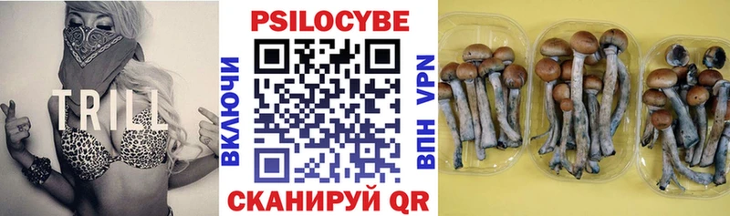 KRAKEN как зайти  цена наркотик  Калач  Псилоцибиновые грибы GOLDEN TEACHER 